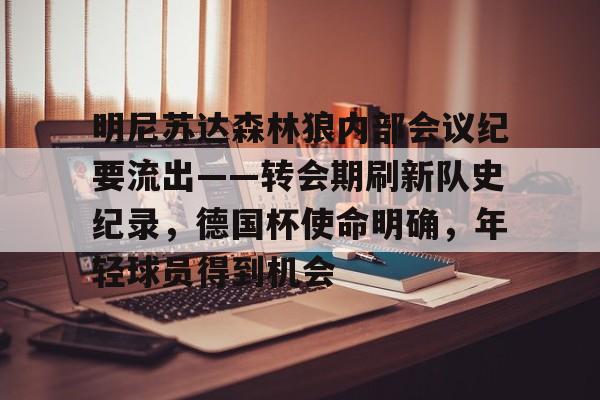 南宫体育 -明尼苏达森林狼队最好成绩